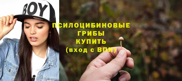 героин Алексин