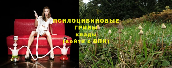 героин Алексин