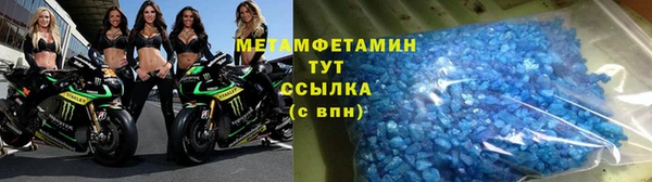 прущие грибы Переславль-Залесский