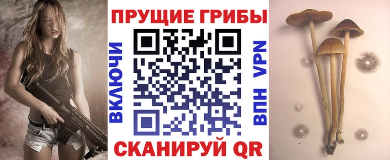 Псилоцибиновые грибы мухоморы  Ардон 