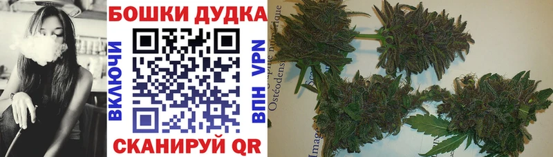 shop Telegram  Ардон  Конопля индика 